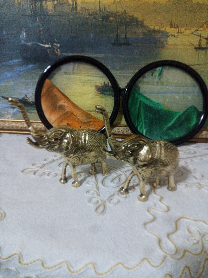 Parlak Camel Fil Biblo Seti - Görsel 5