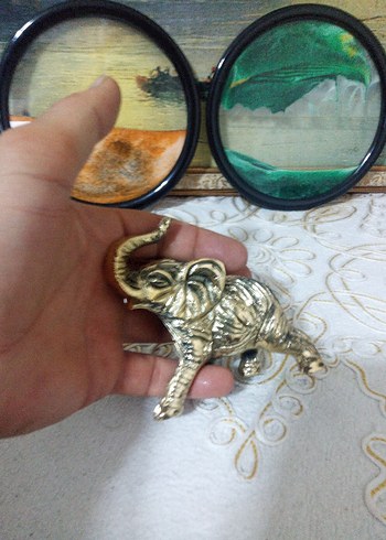 fil pirinç - Görsel 6