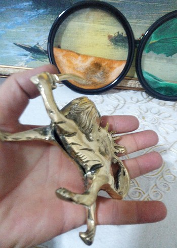 aslan pirinç - Görsel 6