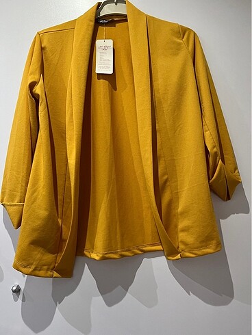 Diğer Blazer