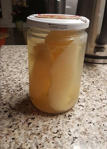  Beden beyaz Renk 2 adet Kombucha mayası / scoby