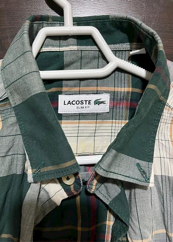 Lacoste Erkek Gömlek - Görsel 2