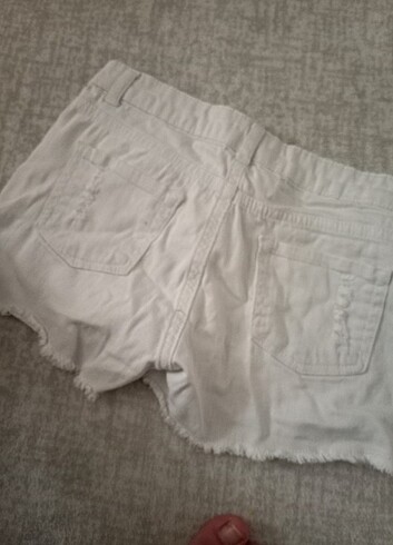 Kot short