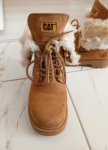35 Beden Cat bot