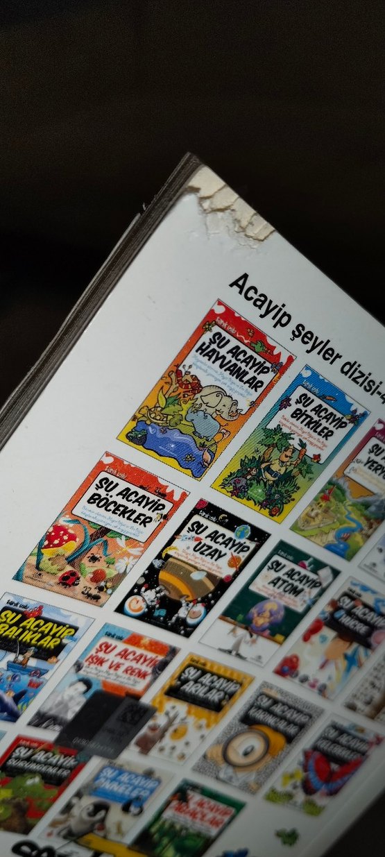 Şu Acayip Gökyüzü - Çocuk Kitabı - Görsel 2