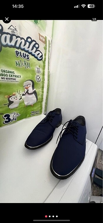 Diğer Takım ayakkabısı