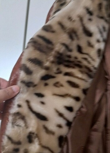 Gerçek Deri Kaban  - Görsel 5