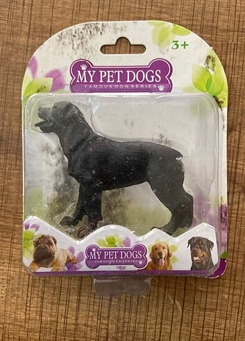 Sevimli Köpeğim 