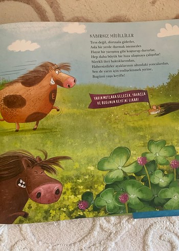 Hayvanlar Senfonisi müzikli kitap - Görsel 3