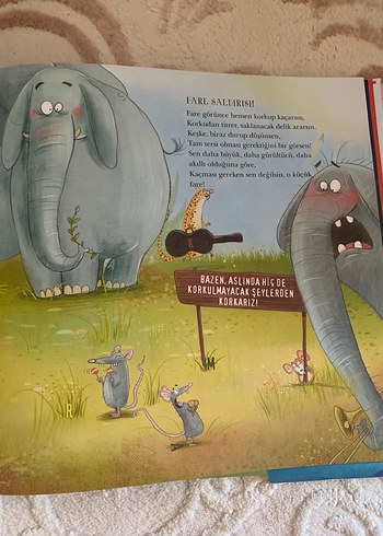 Hayvanlar Senfonisi müzikli kitap - Görsel 4