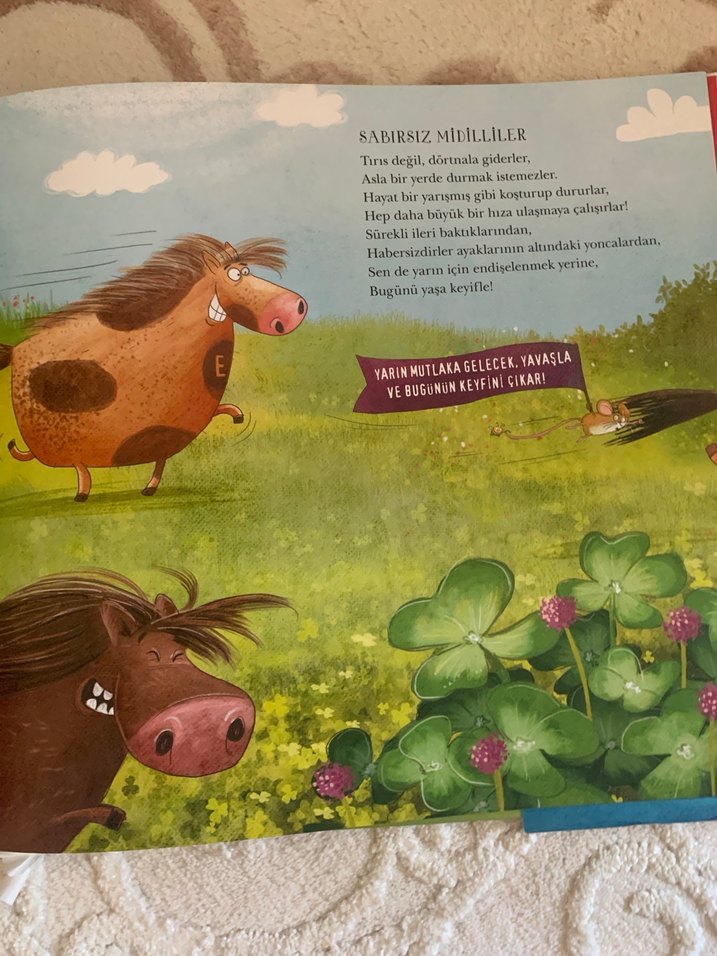 Hayvanlar Senfonisi müzikli kitap - Görsel 3