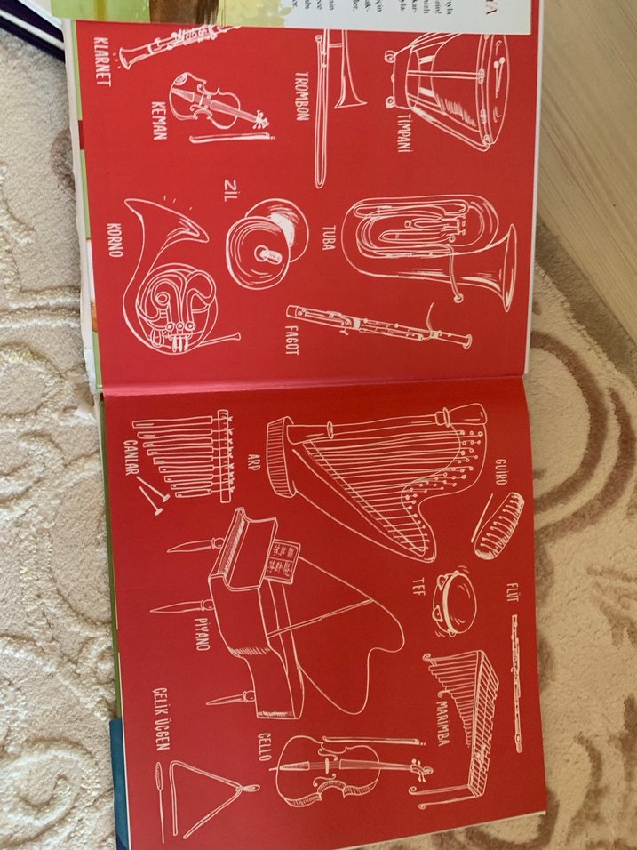 Hayvanlar Senfonisi müzikli kitap - Görsel 2