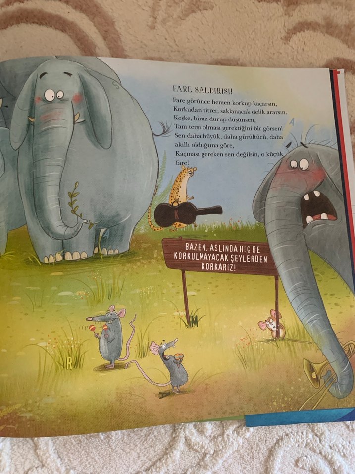 Hayvanlar Senfonisi müzikli kitap - Görsel 4