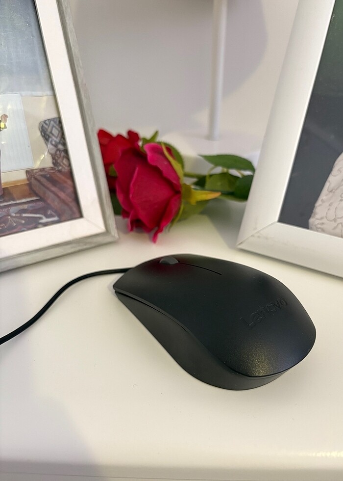 Mouse ve kulaklıklar (HP,Lenovo) - Görsel 5