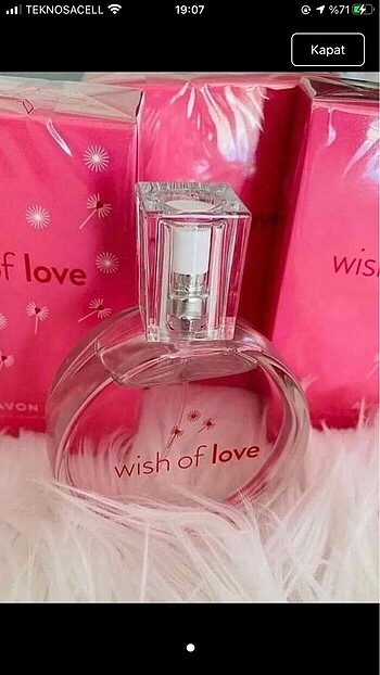 Wish of love bayan parfüm