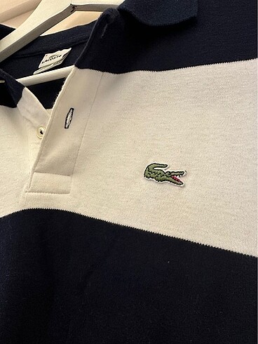Lacoste kazak