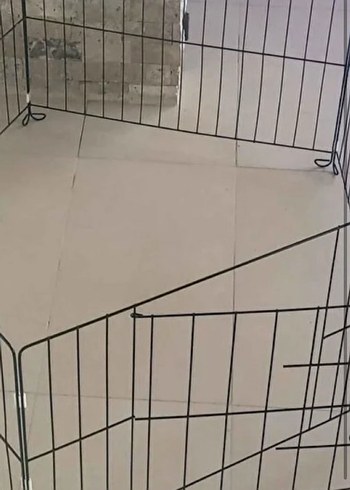 Siyah kedi köpek  Oyun Parkı - Görsel 8