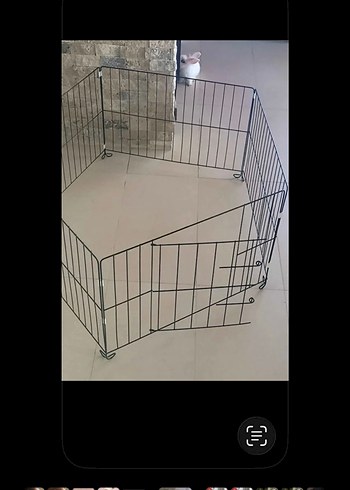 Siyah kedi köpek  Oyun Parkı - Görsel 7