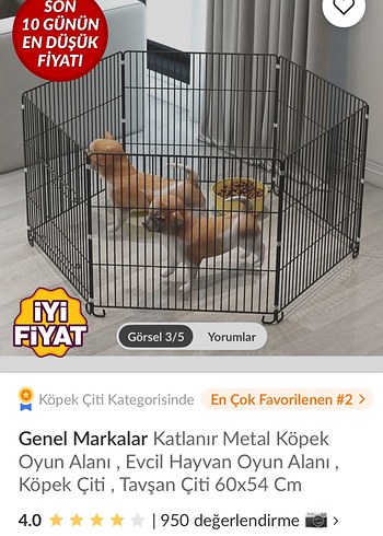 Siyah kedi köpek  Oyun Parkı - Görsel 12