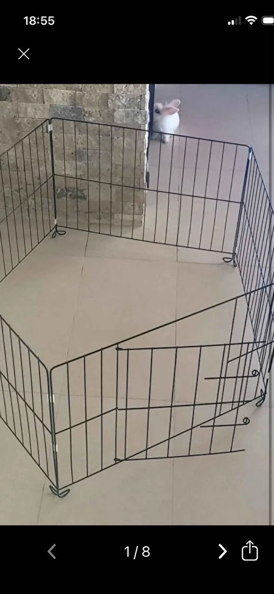 Siyah kedi köpek  Oyun Parkı - Görsel 5