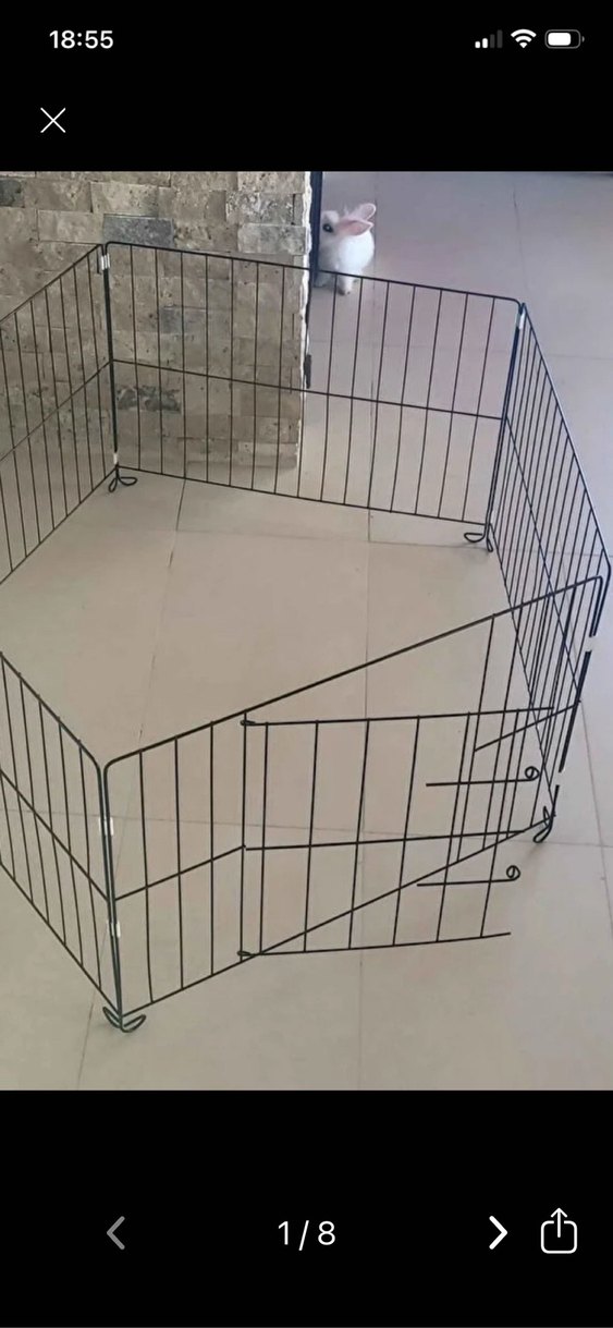 Siyah kedi köpek  Oyun Parkı - Görsel 2