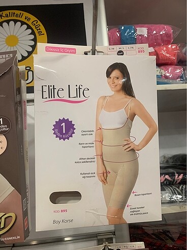 Elite Life Boy Korse