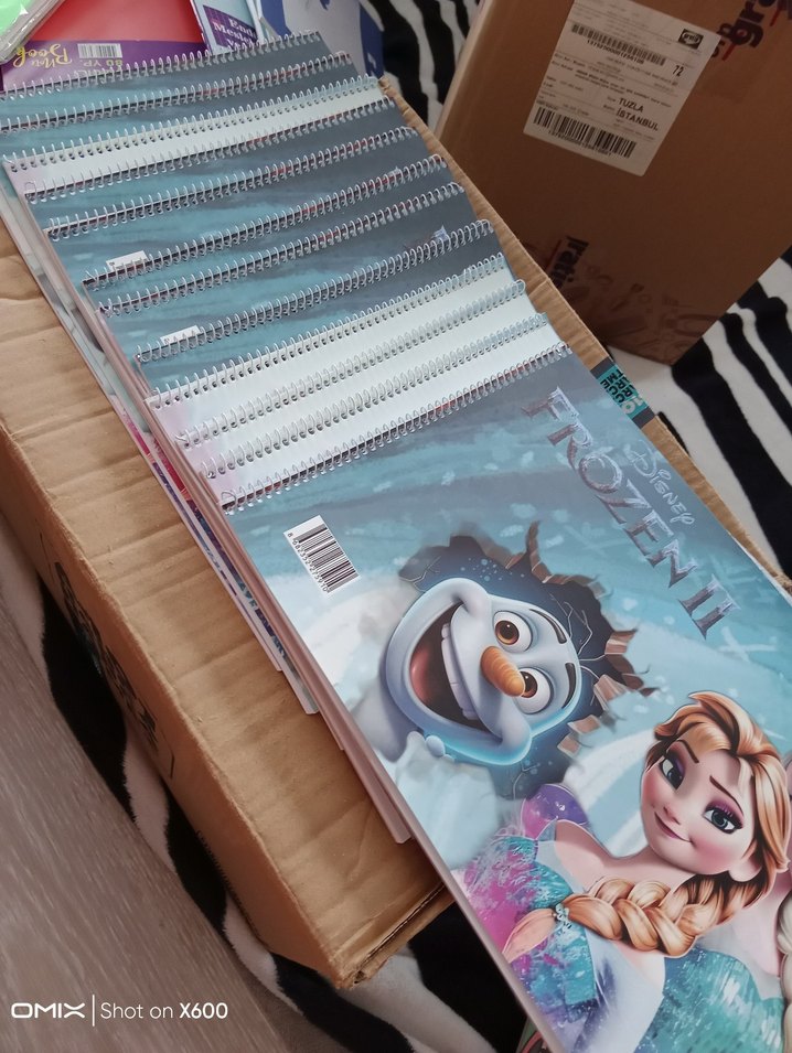 6 adet frozen resim defteri 25*35 - Görsel 3