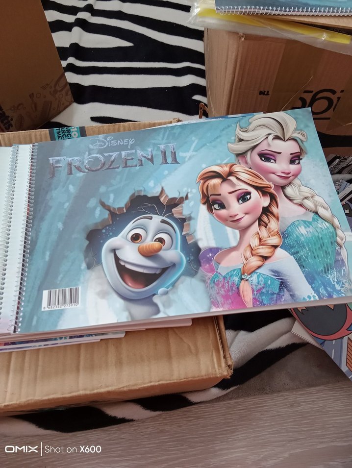 6 adet frozen resim defteri 25*35 - Görsel 2