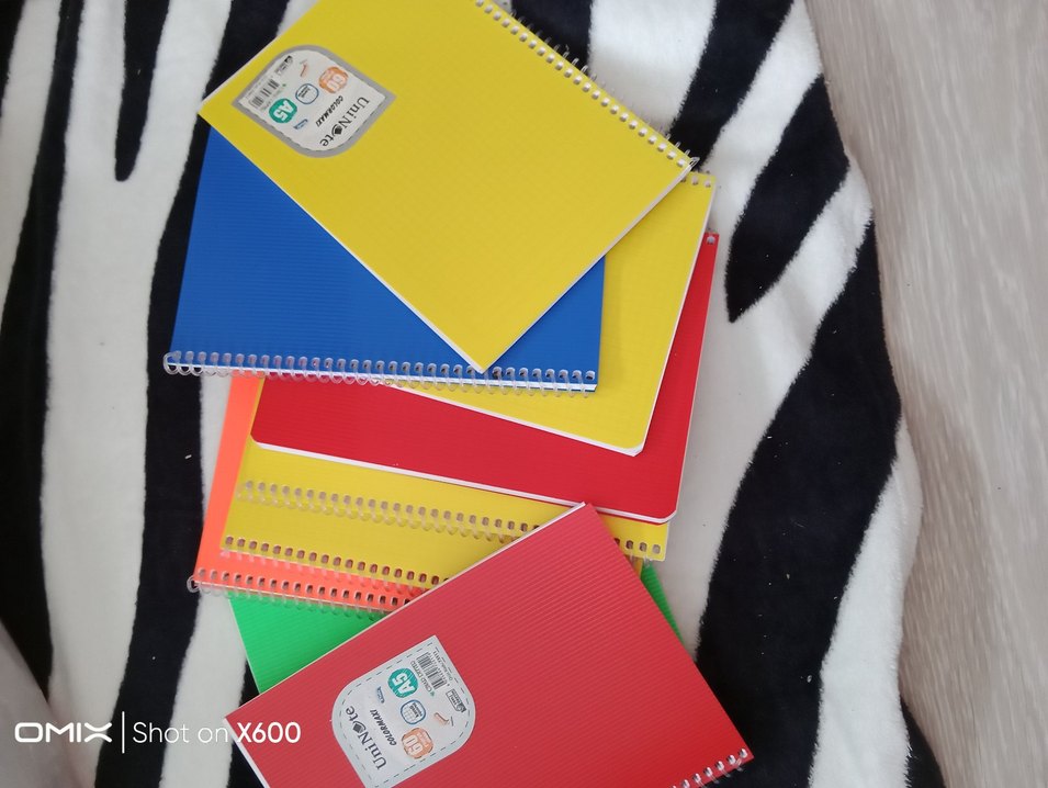 9 ad A5 Spiralli Defter - Görsel 2