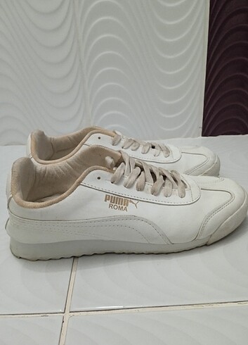 Puma Puma roma