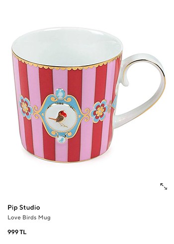Beymen Club PIP STUDIO BIRDS BARDAK