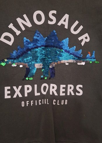 Erkek Çocuk yeşil  Uzun Kollu Sweatshirt - Görsel 3