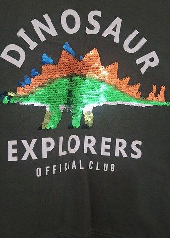 Erkek Çocuk yeşil  Uzun Kollu Sweatshirt - Görsel 2