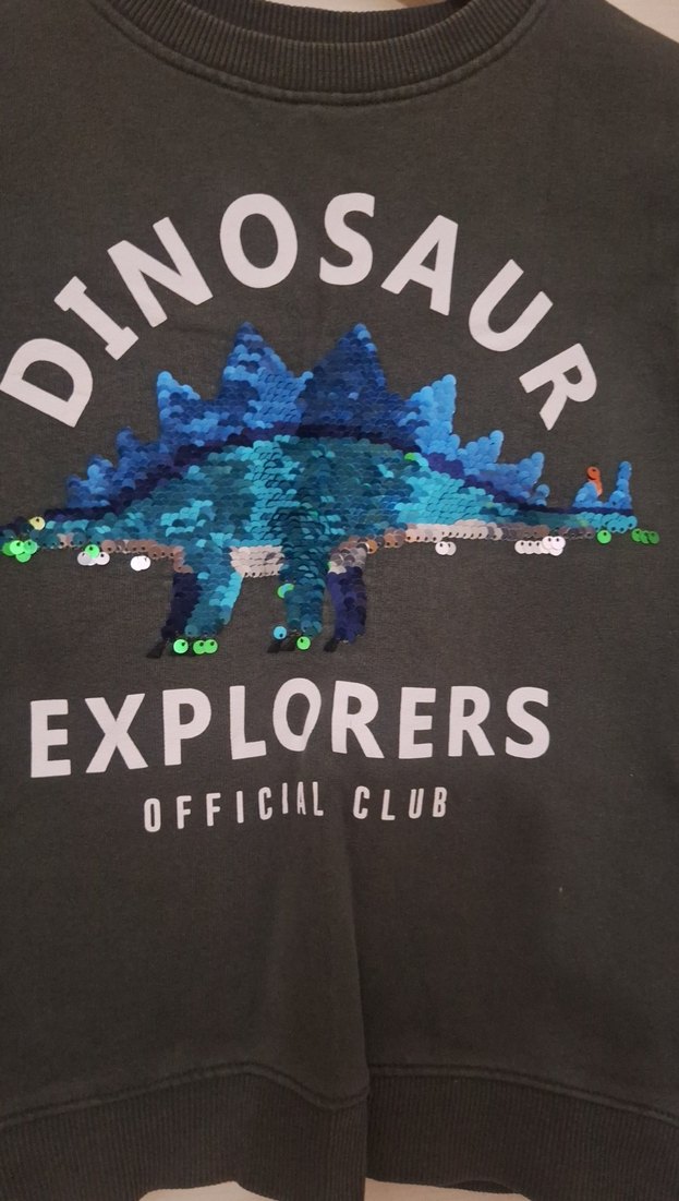 Erkek Çocuk yeşil  Uzun Kollu Sweatshirt - Görsel 3