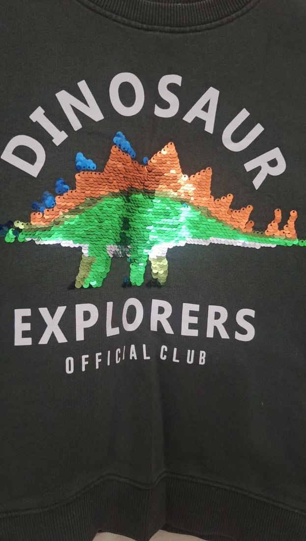 Erkek Çocuk yeşil  Uzun Kollu Sweatshirt - Görsel 2