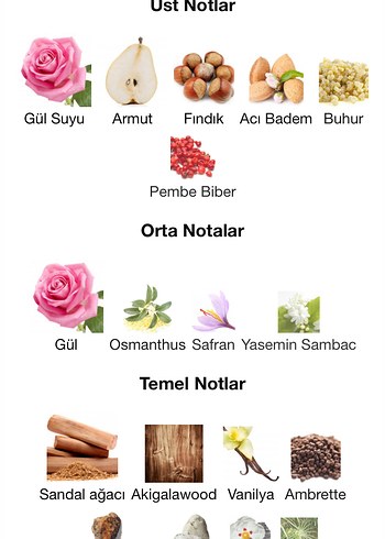 Beden Amouage Guidance 46 Kadın Parfümü