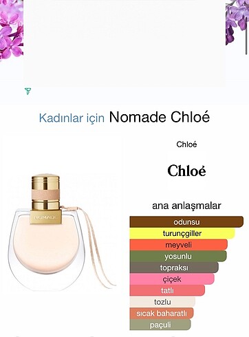 Beden Chloé Nomade 100 ml