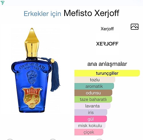 Beden Renk Xerjoff Mefisto