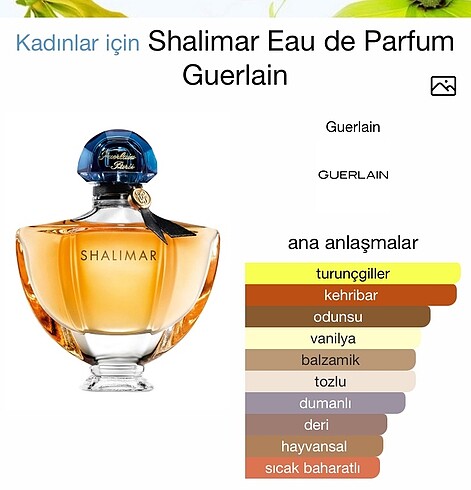 Guerlain Guerlain Shalimar Eau de Parfum