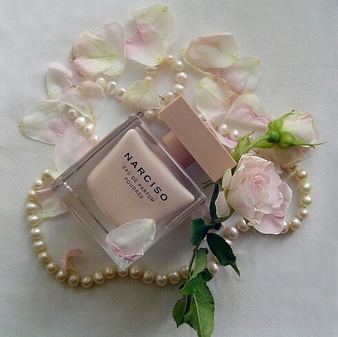 Narciso poudree edp