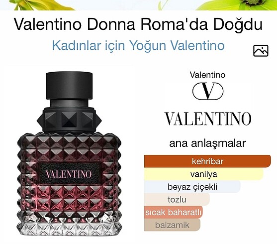 Valentino valentino donna born in roma intense