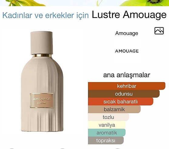 Beden Amouage Lustre