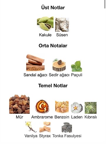 Beden Renk Amouage Lustre