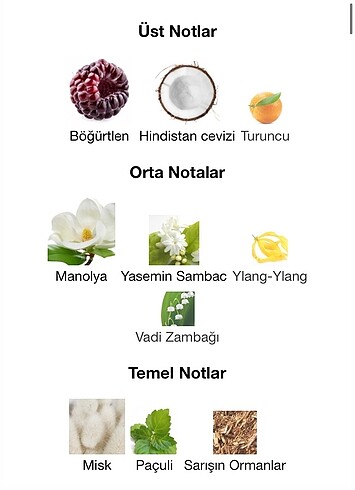  Beden Renk Gucci Flora Gorgeous Magnolia