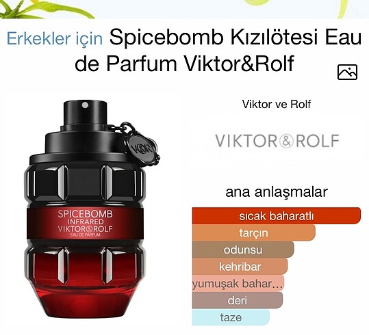 Beden SPICEBOMB INFRARED VIKTOR&ROLF