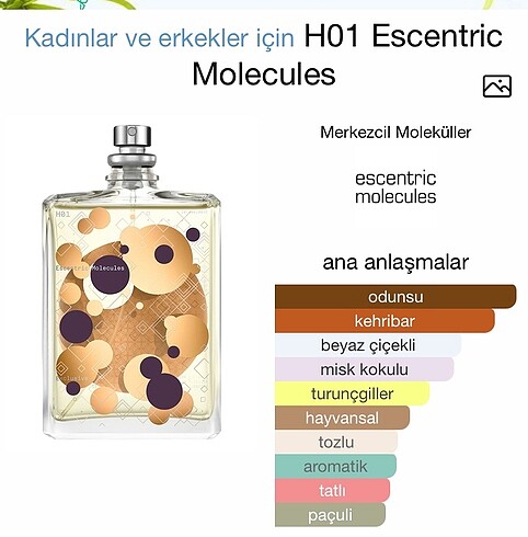 Beymen Molecules H01 Escentric