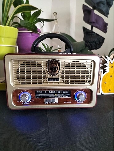 Antika Tipli Teknolojik Radyo, Hoparlör