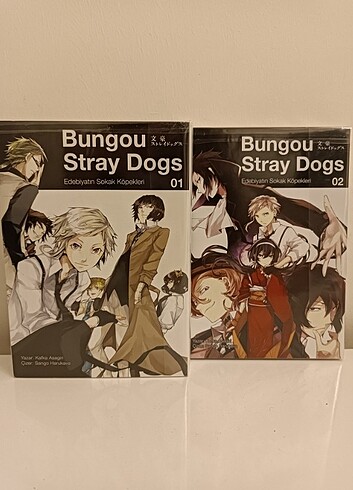 Bungou stray dogs 