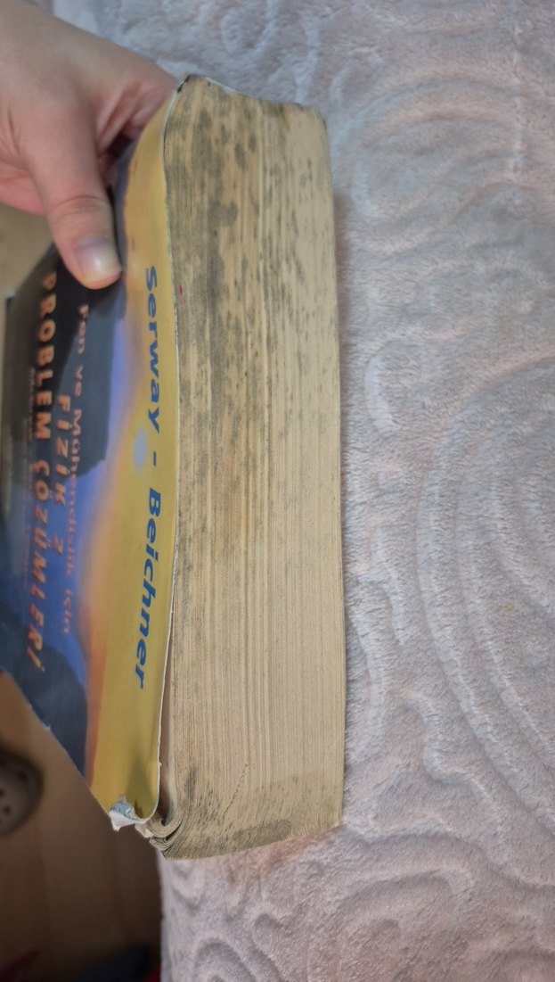 Fizik 2 Problem Çözümleri Kitabı - Görsel 2