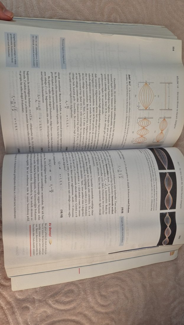 Fen ve Mühendislik İçin Fizik 1 - Serway Beichner - Görsel 4